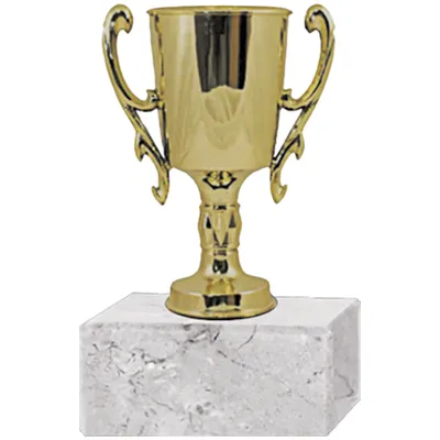 Trofeo Plástico Copa Chica 2