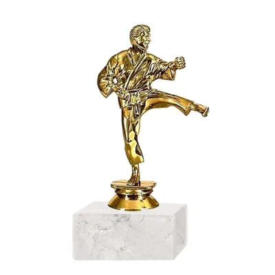 Trofeo plástico FR Karate Grande