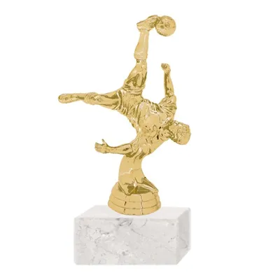 Trofeo plástico Fútbol Chilena